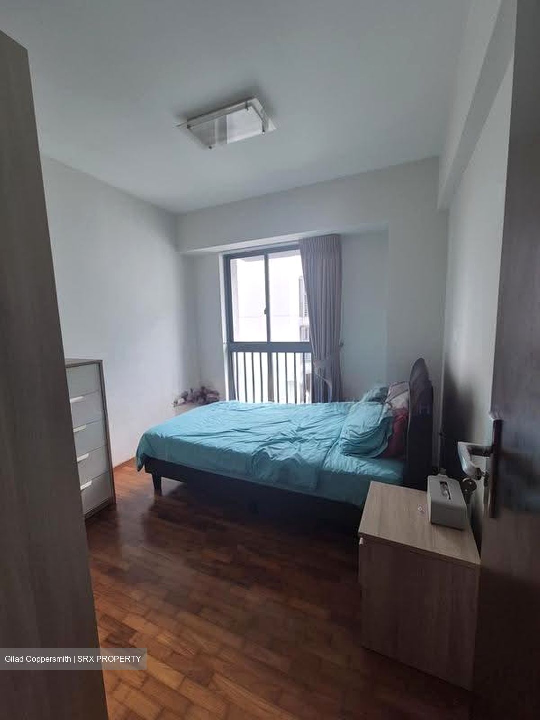 Blk 1G The Pinnacle@Duxton (Bukit Merah), HDB 4 Rooms #619496421